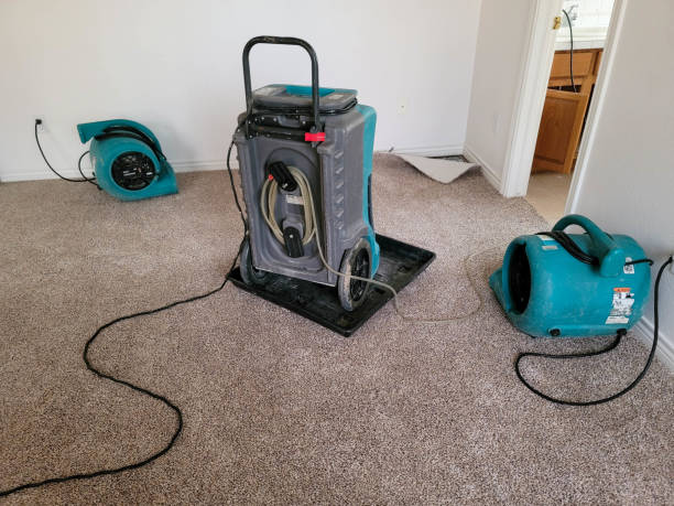 Best Water damage cleanup near me  in Mechanicsburg, OH