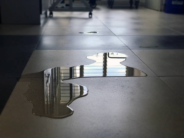 Best Water damage contractors near me  in Mechanicsburg, OH