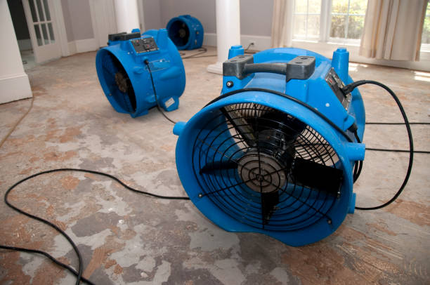 Best 24/7 water damage repair  in Mechanicsburg, OH