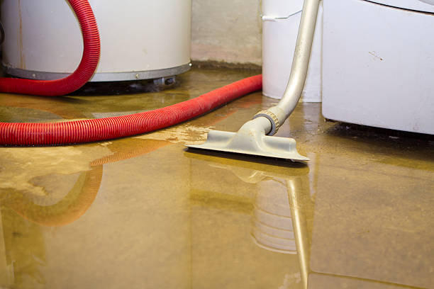 Best Water damage restoration near me  in Mechanicsburg, OH
