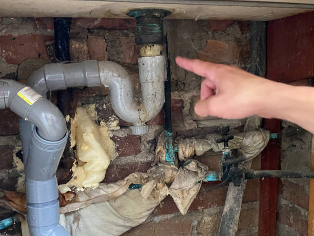 Best Carpet water damage restoration  in Mechanicsburg, OH