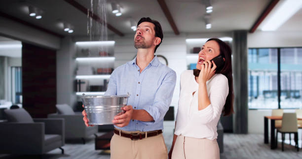 Best Fire Damage Restoration  in Mechanicsburg, OH